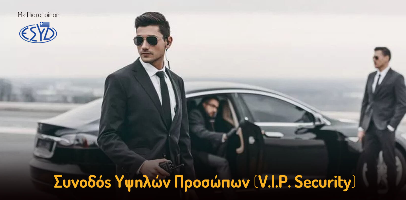 Συνοδός Υψηλών Προσώπων (VIP Security)